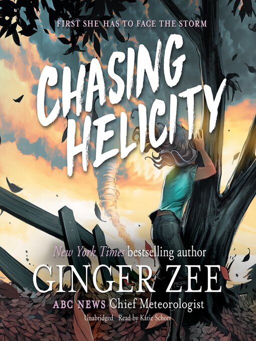 Cover image for Chasing Helicity